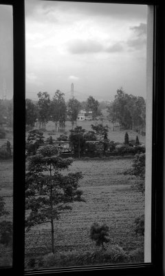 Landscape View_01