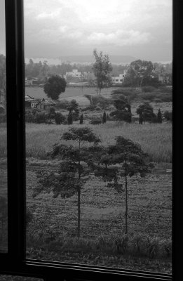 Landscape View_02