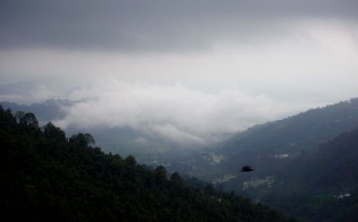 Dharamsala 04 copy.jpg