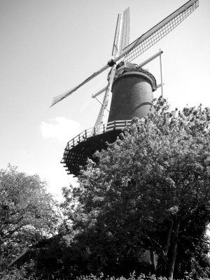 Windmill in Leiden_01