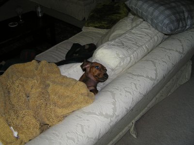 YOU'RE DISTURBING MY BEAUTY SLEEP
