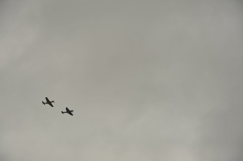 DSC_3131.JPG