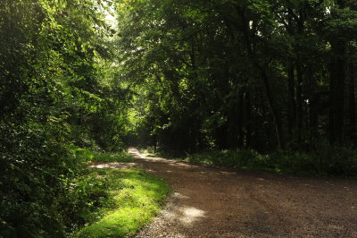 DSC_2901.JPG