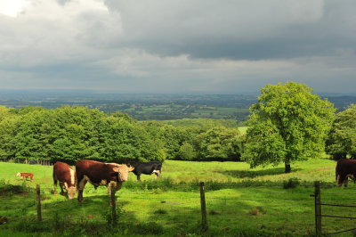 DSC_2909.JPG