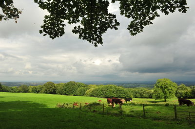 DSC_2910.JPG