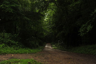 DSC_2916.JPG
