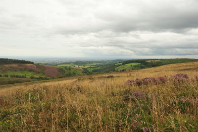 DSC_2943.JPG