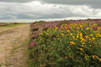DSC_2957.JPG