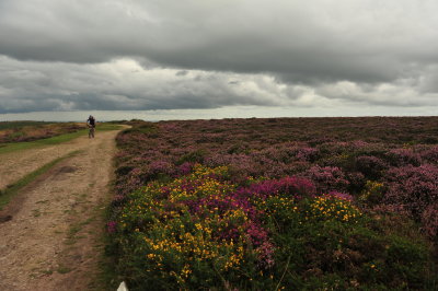 DSC_2958.JPG
