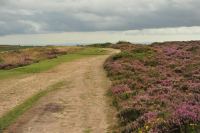 DSC_2960.JPG