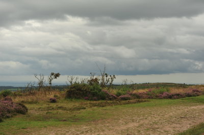 DSC_2962.JPG