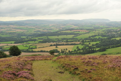 DSC_2963.JPG