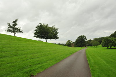 DSC_2996.JPG