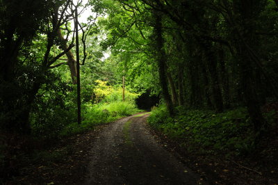 DSC_3004.JPG