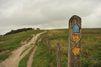 DSC_3255.JPG