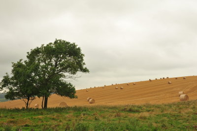 DSC_3260.JPG