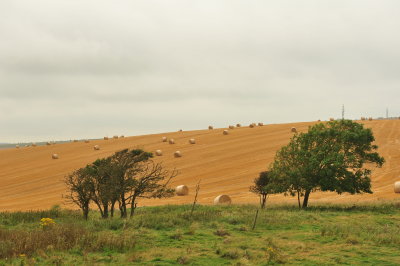 DSC_3265.JPG