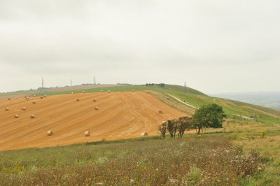 DSC_3272.JPG