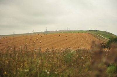 DSC_3311.JPG