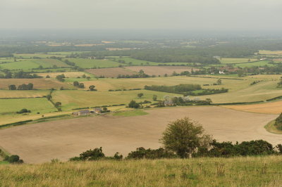 DSC_3331.JPG