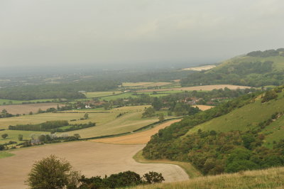 DSC_3332.JPG