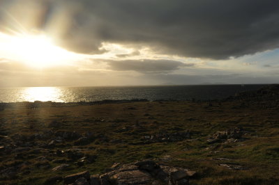 DSC_3930.JPG