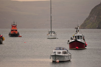 DSC_4223.JPG