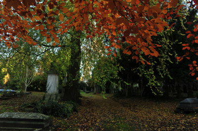 DSC_4651.JPG