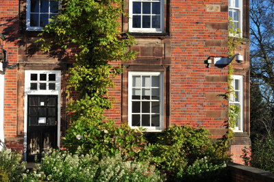 DSC_5189.JPG