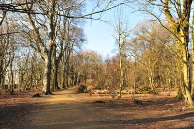 DSC_5353.JPG
