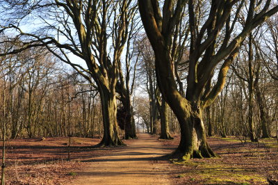 DSC_5356.JPG