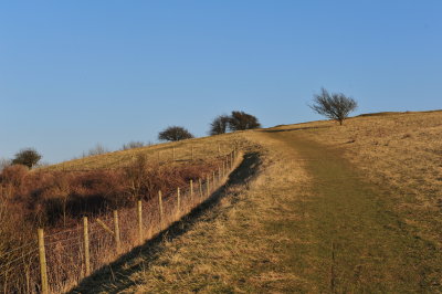 DSC_5360.JPG