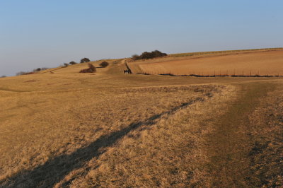 DSC_5365.JPG