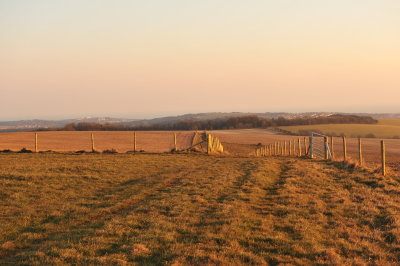 DSC_5376.JPG