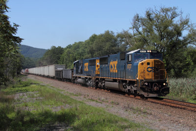 When CSX get short of road units, the ex Conrail EMD fleet assigned to Selkirk yard often get to run the road, Iona Island NY