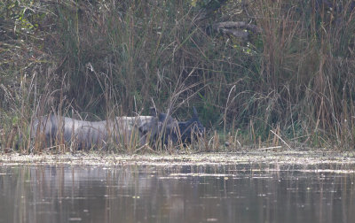 _MG_7884.15.02.2012.jpg