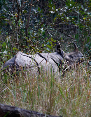 _MG_8092.15.02.2012.jpg
