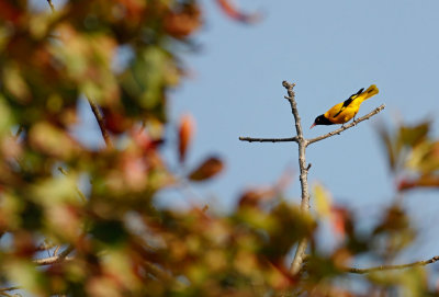 _MG_8472.15.02.2012.jpg