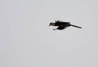 _MG_8547.15.02.2012.jpg
