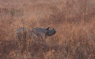 _MG_8565.15.02.2012.jpg