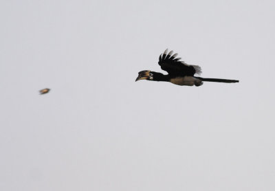 _MG_8548.15.02.2012.jpg
