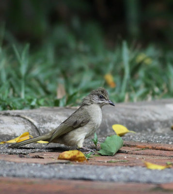 IMG_4252.2013.01.08.jpg