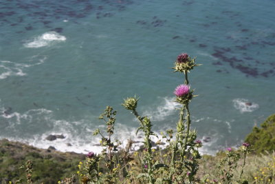 Big Sur