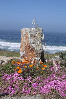 Big Sur