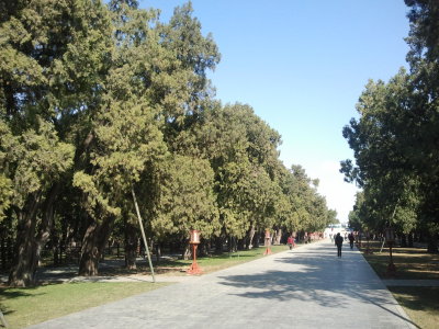 2013-03-28 14.51.07.jpg