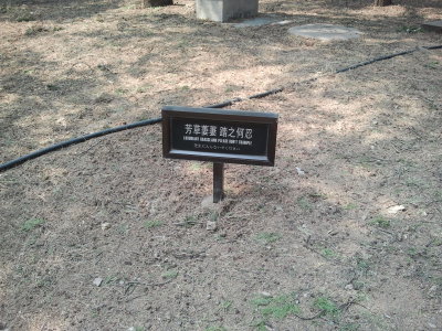 Funny sign - not a very good translation