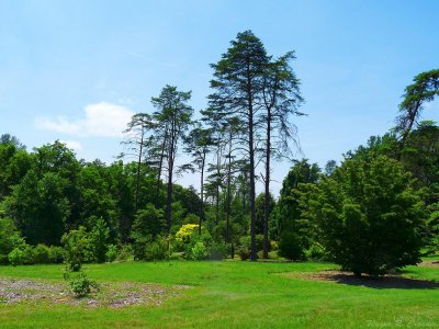 June in KY 01.jpg