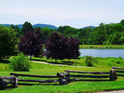 June in KY 03.jpg