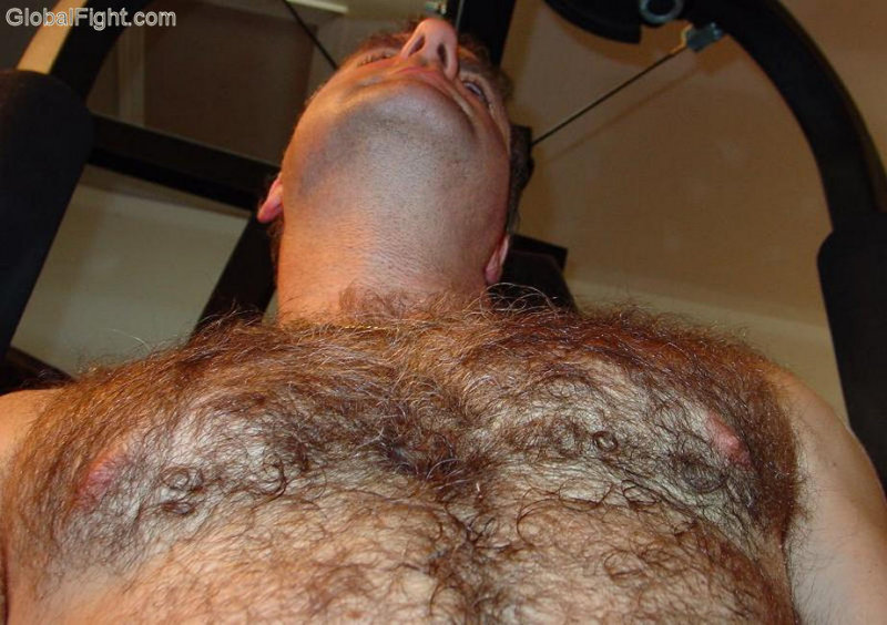 very hairy chest pecs man.jpg