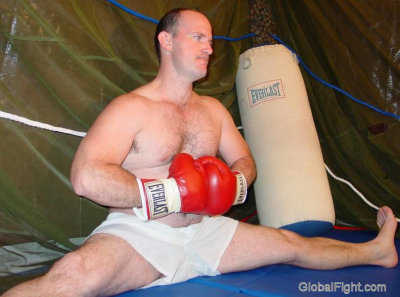 boxer stud doing splits.jpg
